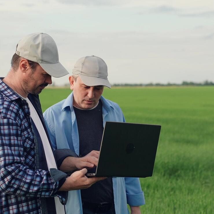 Miehet katsovat tietokonetta viljapellolla